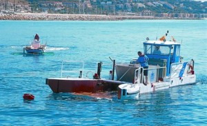 barco pelicano