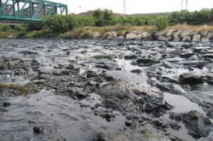 contaminacion rio francoli