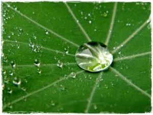 Día Mundial del Agua