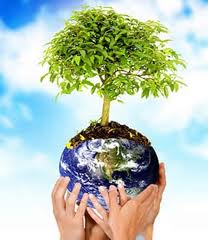 dia mundial de la educacion ambiental