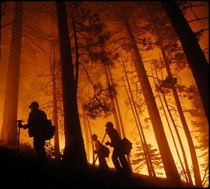 dia internacional del combatiente de incendios forestales